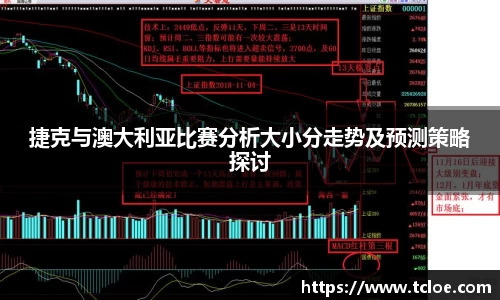 捷克与澳大利亚比赛分析大小分走势及预测策略探讨